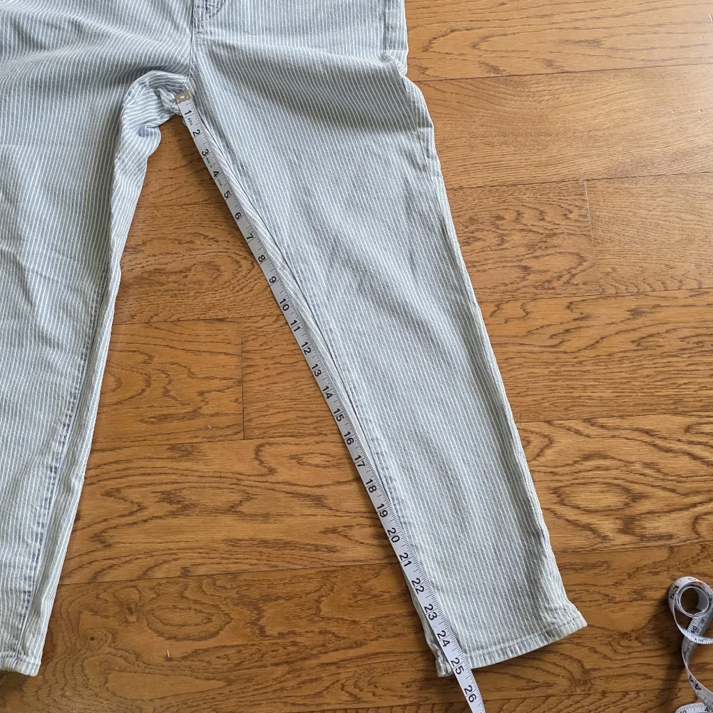 J. Crew Mercantile Striped Jeans Size 29 Blue White